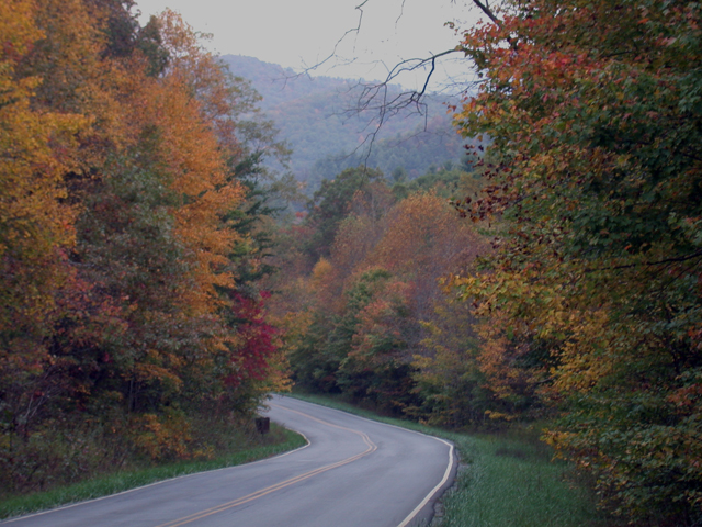 Autumn Mountain Road