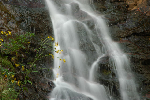 Amicalola Falls