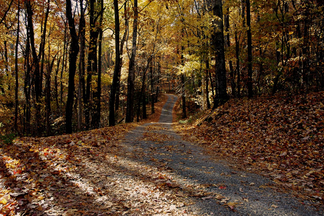 Black Rock Trail