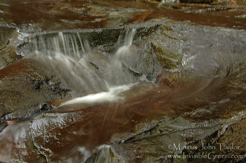 Minnehaha Close Up 5