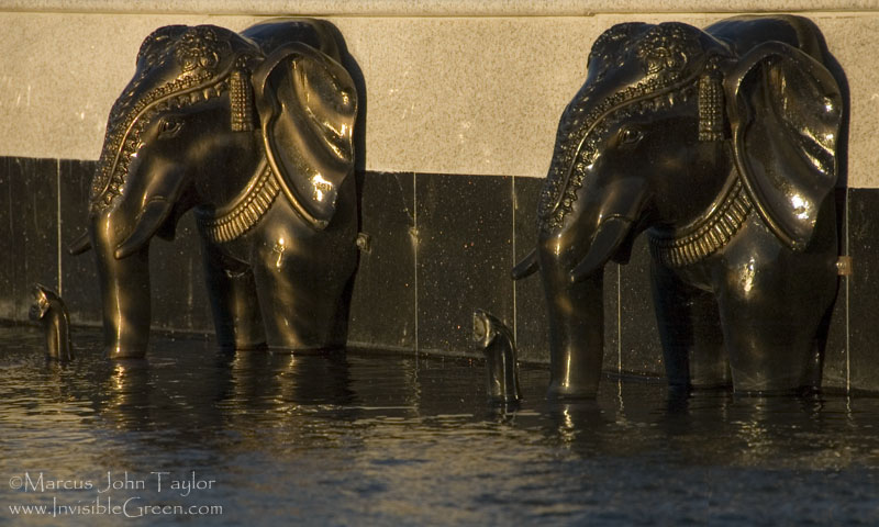 Hindu Temple Elephants