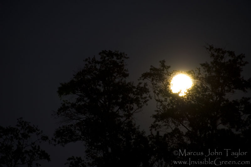 October Moonrise