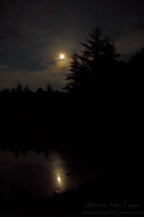Lake Conasauga at Night