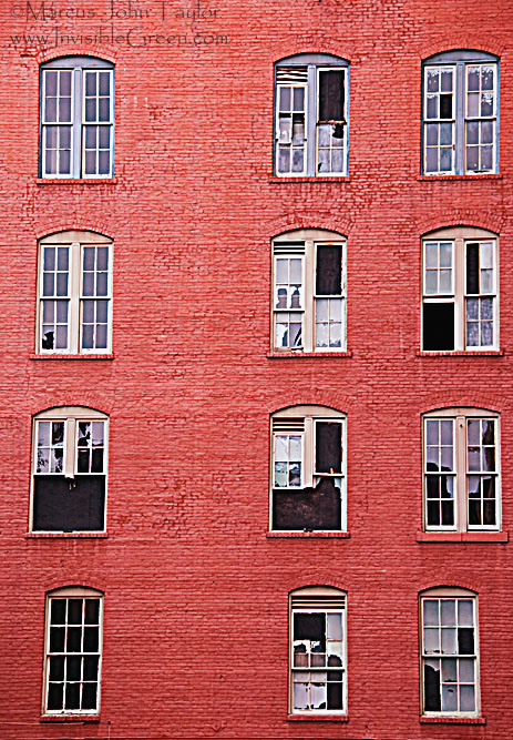 Bricks and Windows