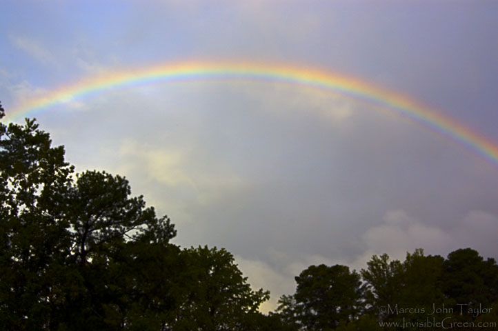 Rainbow Over Emory