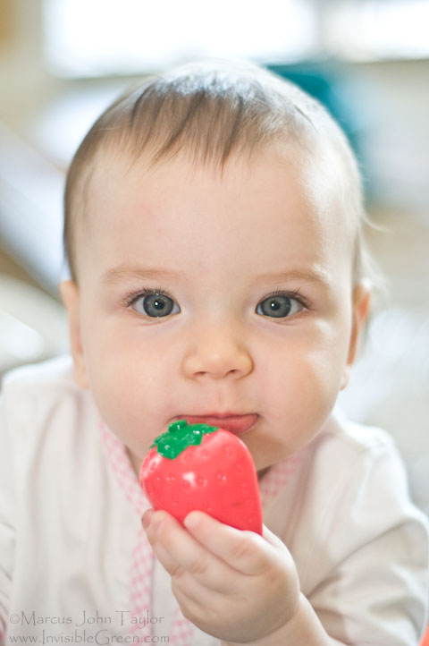 Holly with Plastic Strawberry