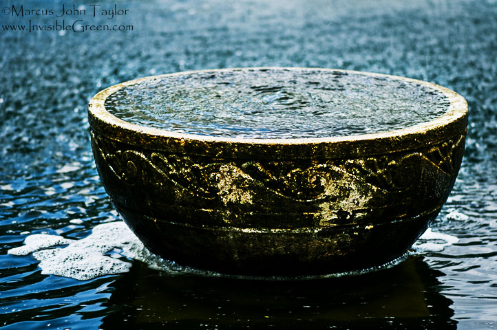 Turbulent Bowl of Water
