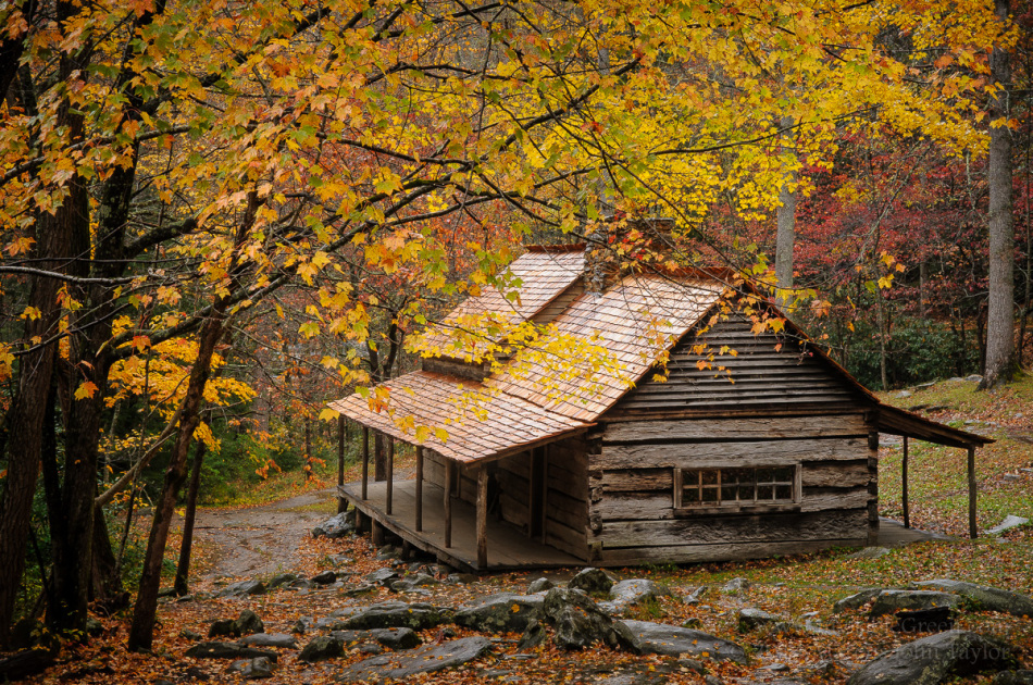 Noah Bud Ogle Cabin Invisible Green Photography